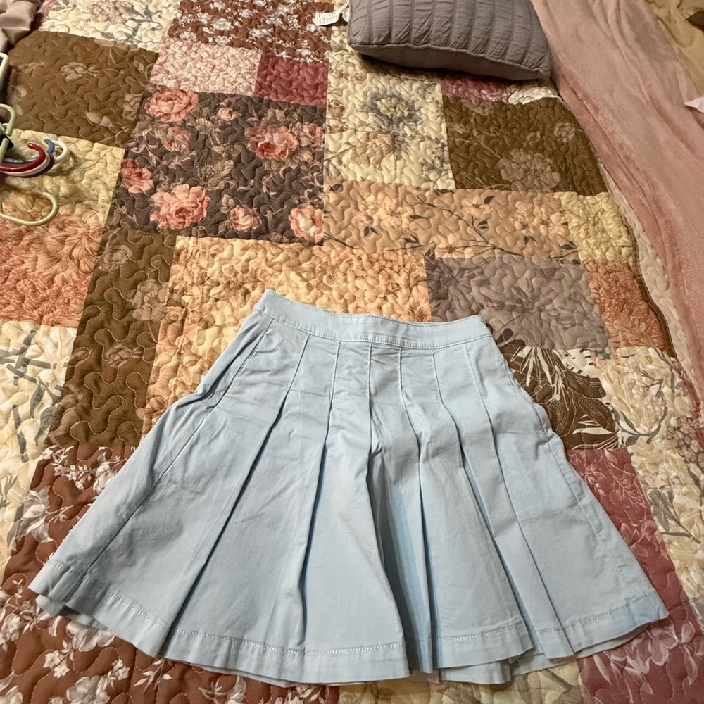 American Eagle Outfitters Light Blue Pleated Skater Skirt